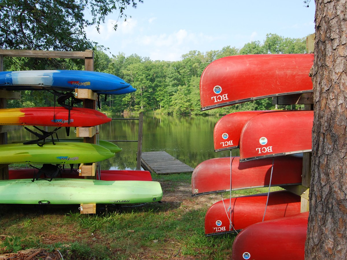 Several kayaks of different kinds lined up on grass